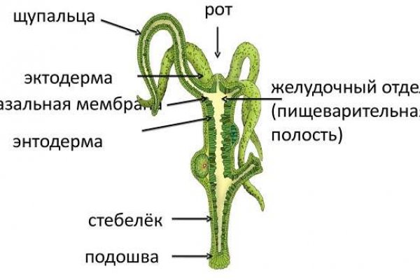 Кракен вход