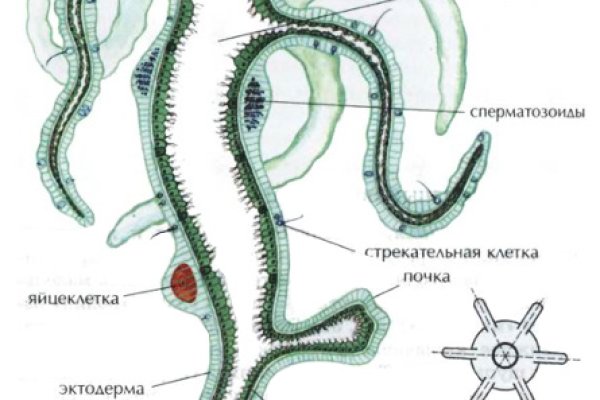 Кракен современный даркнет маркет плейс