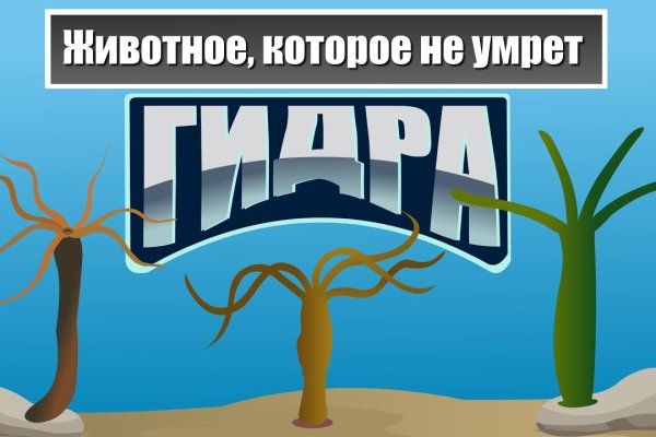 Сайт вместо гидры