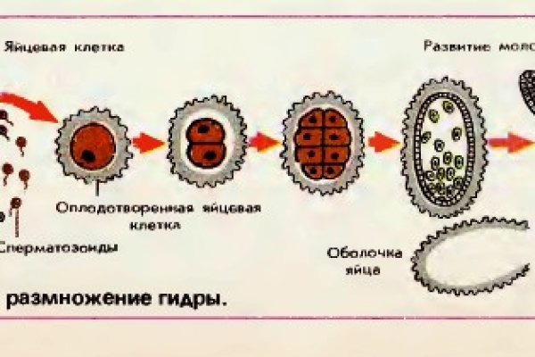 Kraken официальный сайт vtor run