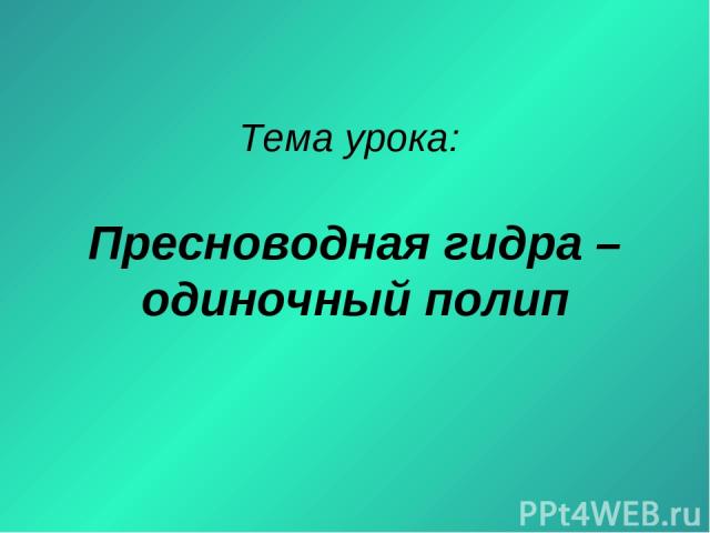 Как зайти на кракен в торе